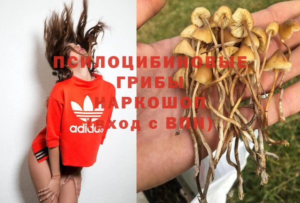 крисы Балахна