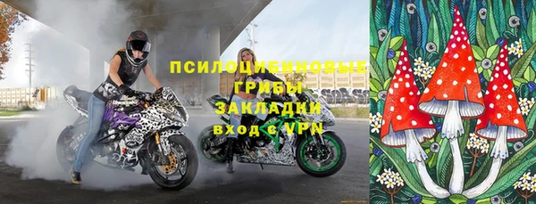крисы Балахна