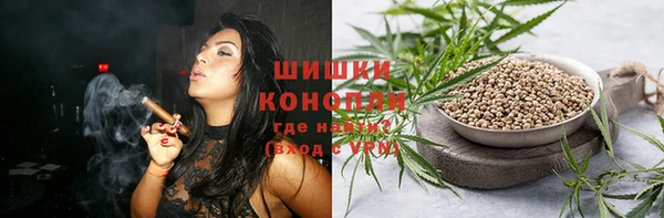 крисы Балахна