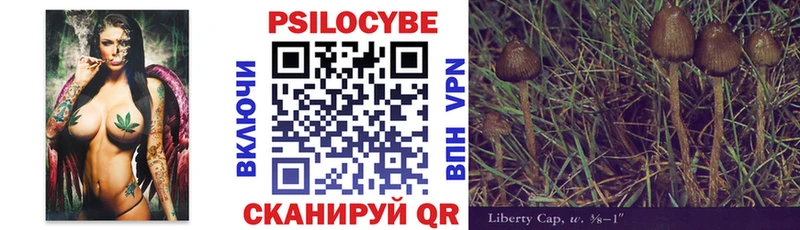 Галлюциногенные грибы Psilocybe  МЕГА ТОР  Железноводск  цена  